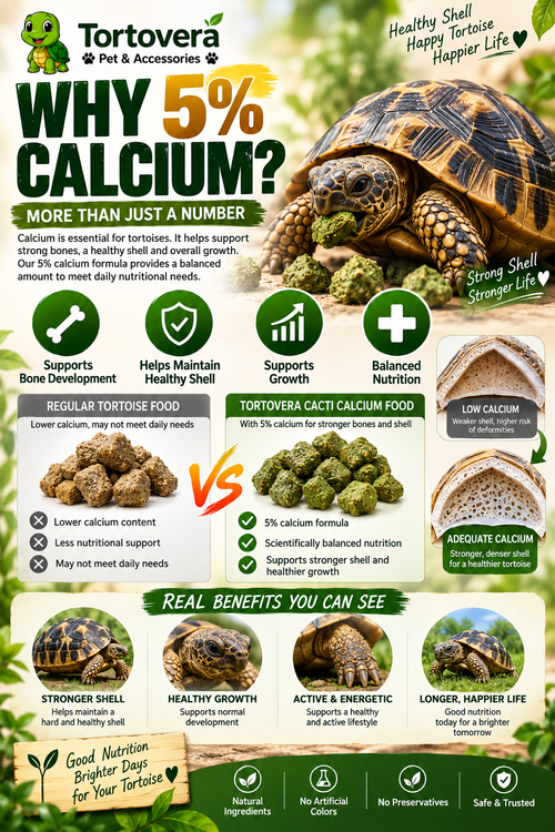 Tortovera MacFn Cacti Calcium Tortoise Food 100G | 5% Calcium High Fiber Cactus Pellets | Large 15mm Tortoise Food