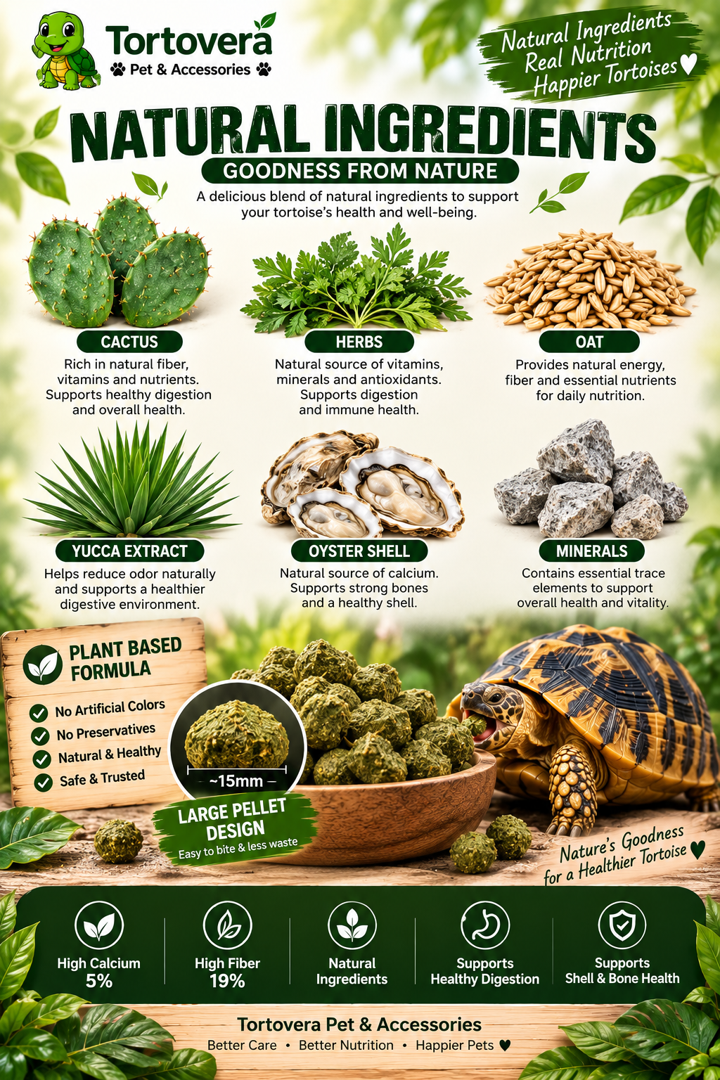 Tortovera MacFn Cacti Calcium Tortoise Food 100G | 5% Calcium High Fiber Cactus Pellets | Large 15mm Tortoise Food